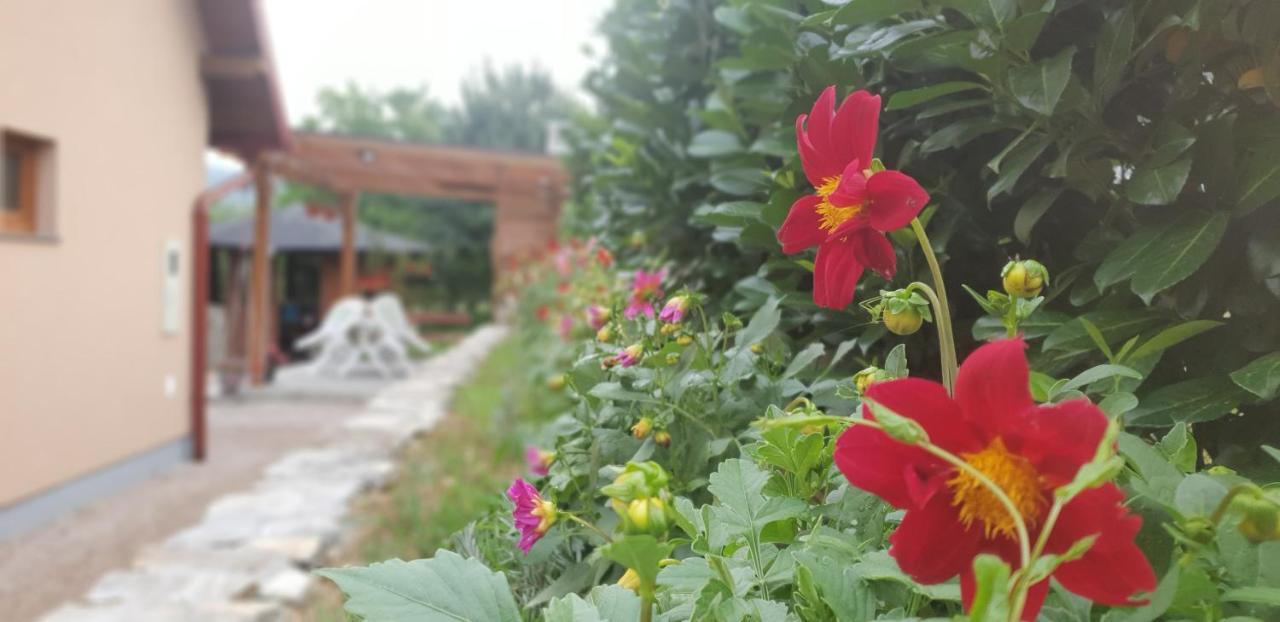 Green Garden Lohovo Біхач Екстер'єр фото